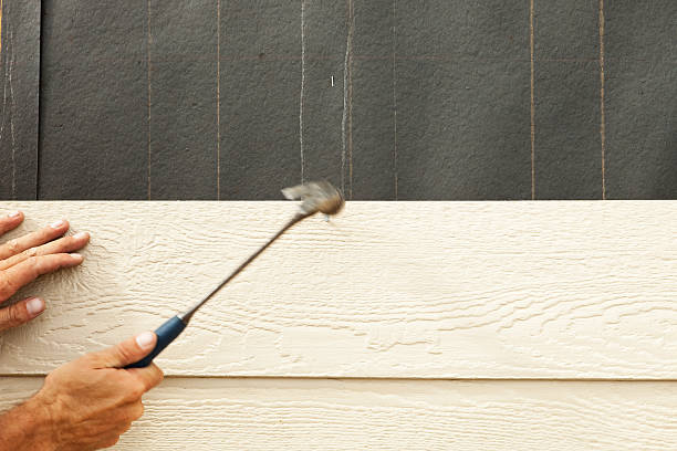 Best Fiber Cement Siding Installation  in Vardaman, MS